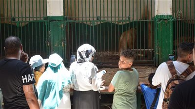 العائلات تتصدر المشهد في حديقة الحيوان بثاني أيام عيد الأضحى | فيديو وصور 