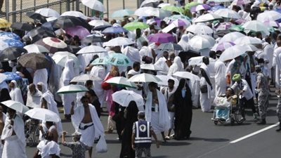القومي للبحوث يكشف مشروبًا سحريًا لتقوية مناعة الجسم خلال موسم الحج (فيديو)