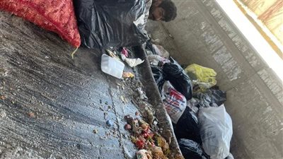 ضبط عربة تلقي مخلفات الأضاحي أسفل محور صفط بالجيزة | صور