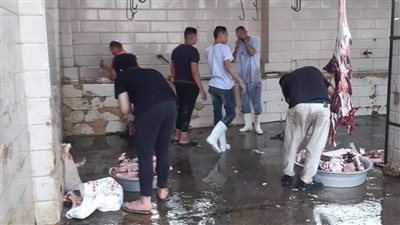 الطب البيطري بالجيزة: زيادة أعداد أطباء المجازر