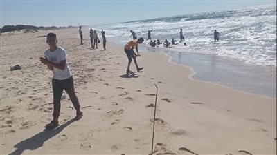 بعد إغلاق 7 سنوات.. فتح ساحل الشيخ زويد في شمال سيناء