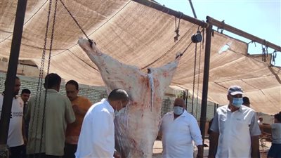 حملات على المجازر ورفع القمامة والإشغالات في 5 مراكز بالدقهلية | صور 