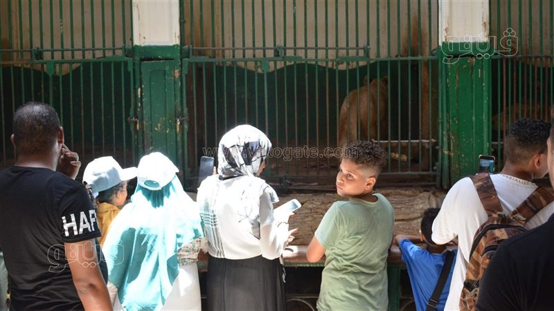حديقة الحيوان 