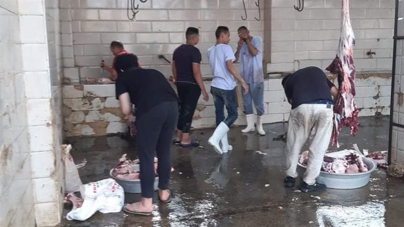 الذبح داخل المجازر