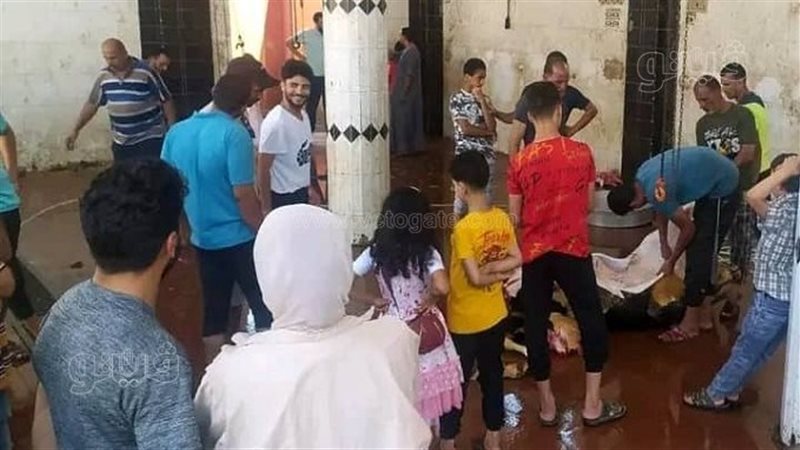 ذبح اضحية عيد الاضحي