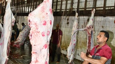 بدء توزيع لحوم أضاحي الأوقاف على الأسر الأولى بالرعاية في المحافظات 