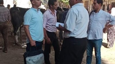 مليون جنيه غرامة فورية على محال الجزارة والشوادر المخالفة بأحياء شرق ووسط والمنتزه أول وثان