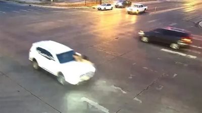 الأم الشجاعة.. سيدة تتصدى لمحاولة سرقة أطفالها وسيارتها |فيديو 