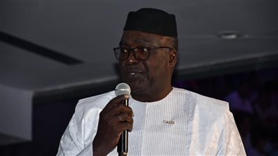 رئيس الاتحاد الأفريقي لكرة اليد يشكر الرئيس عبد الفتاح السيسي على دعمه