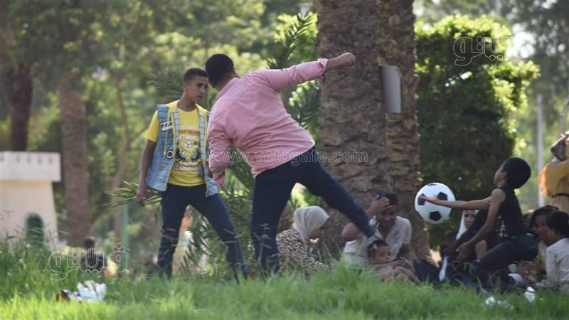 الحديقة الدولية