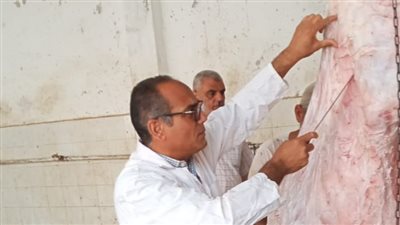 الانتهاء من ذبح وتوزيع 315 أضحية في 28 قرية بكفر الشيخ