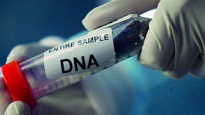 قرينة مادية قاطعة.. كيف تعمل البصمة الوراثية على كشف الجرائم الغامضة؟