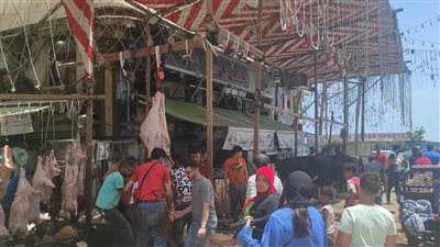 تحرير 258 محضر مخالفة بيئية لمحال الجزارة والشوادر بالإسكندرية