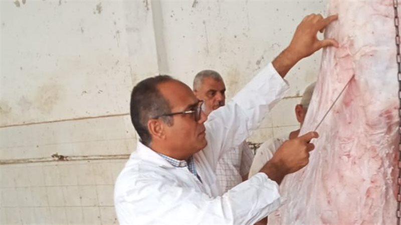 مجزر كفرالشيخ 