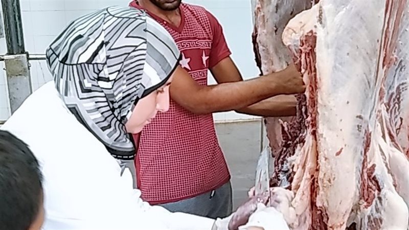 جهود مديريات الطب