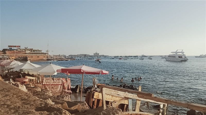 الاسكندريه 
