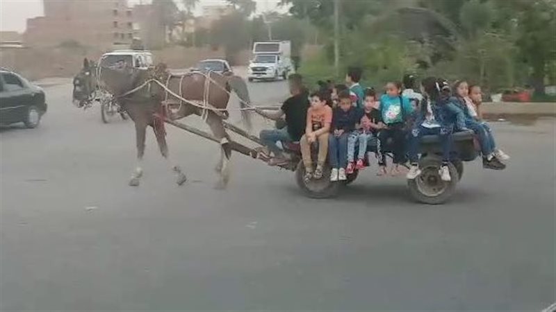 احتفال عيد الاضحى
