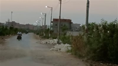 تنفيذ خطة متكاملة لزراعة أعمدة كهرباء في المنصورة