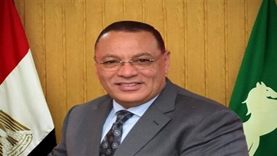 إزالة 138 إعلان غير مرخص بالشرقية