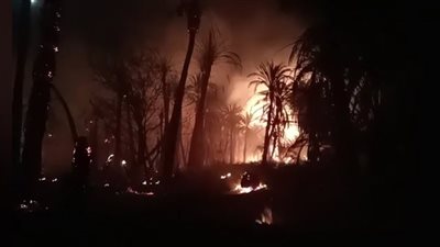 إخماد حريق مخلفات داخل مزرعة بطريق إسكندرية الصحراوي