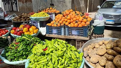 الطماطم 2.25 والبطاطس 4.25.. أسعار الخضروات والفاكهة في السوق المصري اليوم| فيديو 