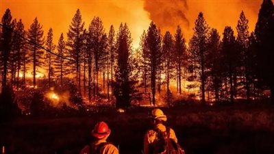 السلطات البريطانية تعلن حالة الاستنفار القصوى لمواجهة الحرائق