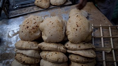 قرار جديد من التموين بشأن الخبز البلدي المدعم.. تعرف عليه