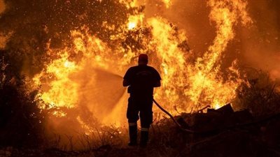 حرائق المغرب تخرج عن السيطرة والمملكة تستعين بالجيش للإطفاء | فيديو