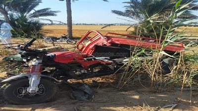 مصرع وإصابة 7 من عائلة واحدة في حادث سير بالإسماعيلية | صور