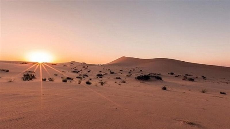 الصحراء 