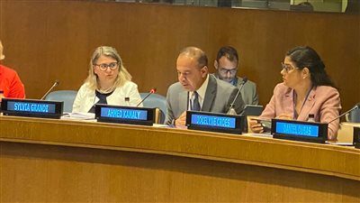 نائب وزيرة التخطيط: مصر تطبق التعافي الأخضر للخروج من تأثيرات كورونا