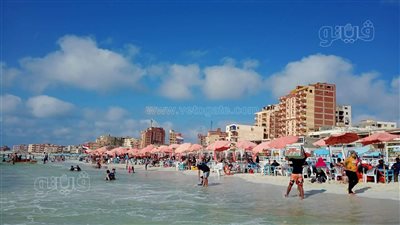 أخبار الإسكندرية | الكينج يحيي حفلا في سيدي جابر.. وأزمة بين السائقين والركاب بسبب الفكة