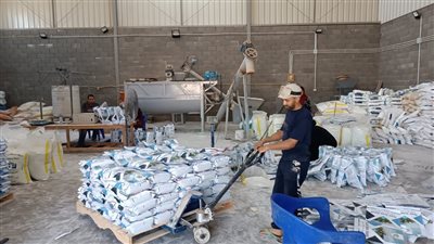 سيدات وفتيات تنمية المشروعات: الجهاز شجعنا على العمل الحر وتحسين أحوالنا اقتصاديا 