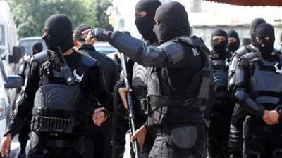 حملة أمنية بالقليوبية تضبط 14 تاجر مخدرات وتنفذ 7346 حكما قضائيا 