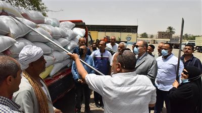 شون وصوامع أسيوط تستقبل 170 ألف طن قمح حتى الآن 