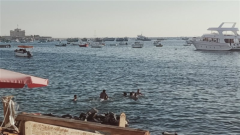 الاسكندريه 
