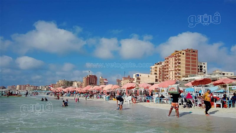  الإسكندرية 