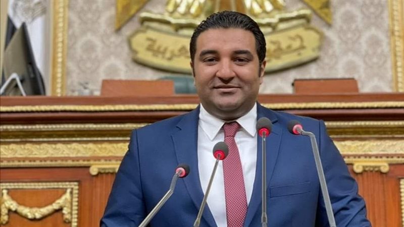 النائب محمود عصام،