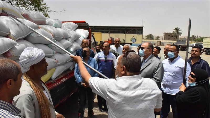 استلام القمح 