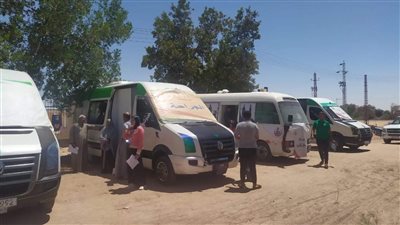 الكشف بالمجان على 224 مواطنا خلال قافلة طبية بالوادي الجديد