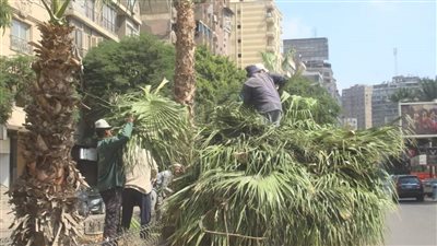 رفع 6633 طن مخلفات خلال حملة مكبرة بالجيزة| صور 