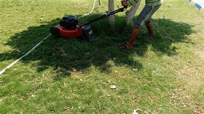 حملة لصيانة وتجميل المُسطحات الخضراء والحدائق بالإسماعيلية | صور