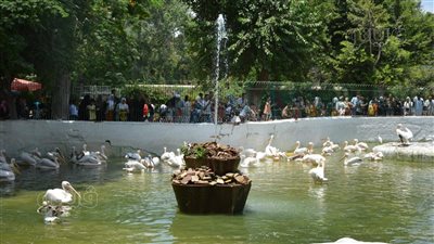 حديقة الحيوان تستقبل نصف مليون زائر خلال إجازة عيد الأضحى 