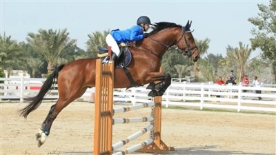 بسبب ارتفاع الحرارة.. حصان يرعب الجمهور ويحطم حاجز المضمار | فيديو 