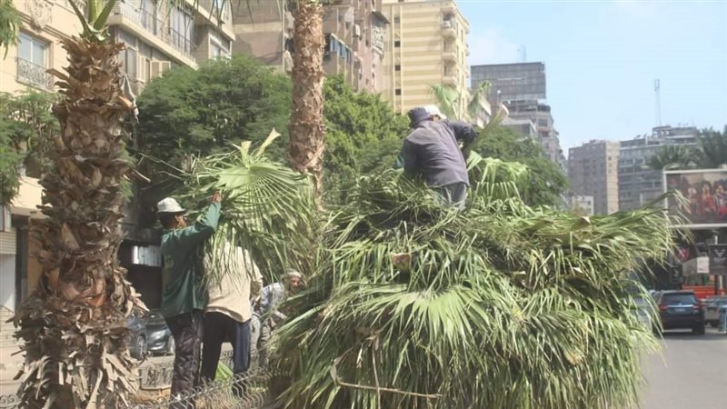 حملة نظافة في الجيزة