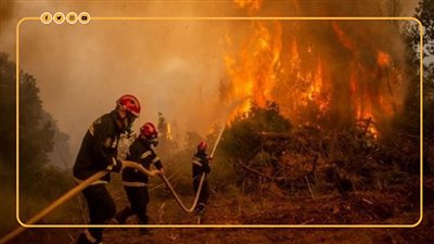 ارتفاع درجات الحرارة يشعل النيران في غابات العالم | فيديو جراف