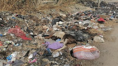 تحاصرها القمامة وبرك الصرف.. ٣٢ قرية سقطت من حسابات الإسكندرية |فيديو