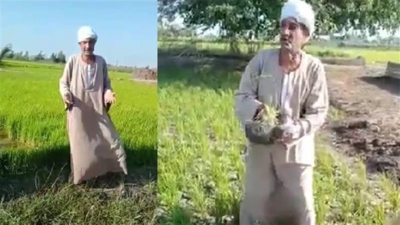 استغاثة أهالي محافظة