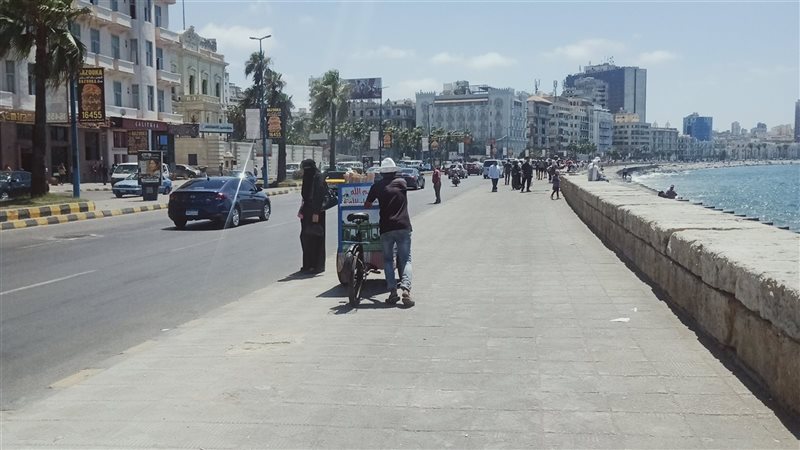 الاسكندريه 