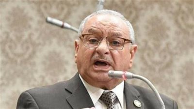 بناء على طلب إحاطة.. لجنة من الزراعة تنهي إجراءات تثبيت المؤقتين بالمنيا